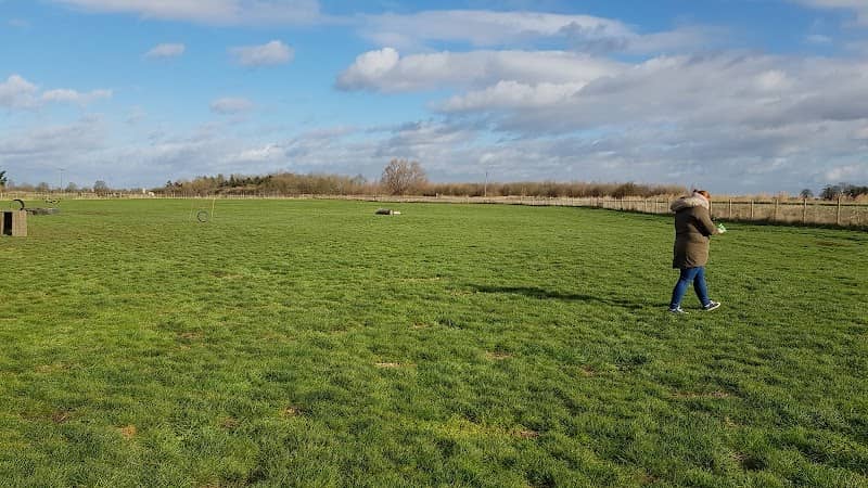 Field for Paws - Image 2