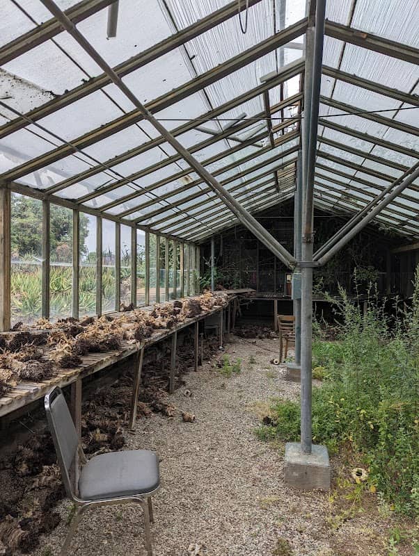 Madagascar Garden - Image 1