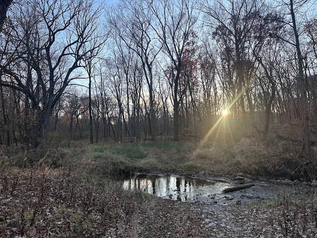Munn Woods Trail Access - Hickory - Image 1