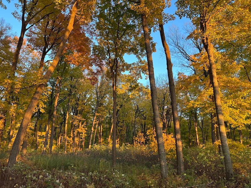 Cairns Woods Trailhead - Image 1