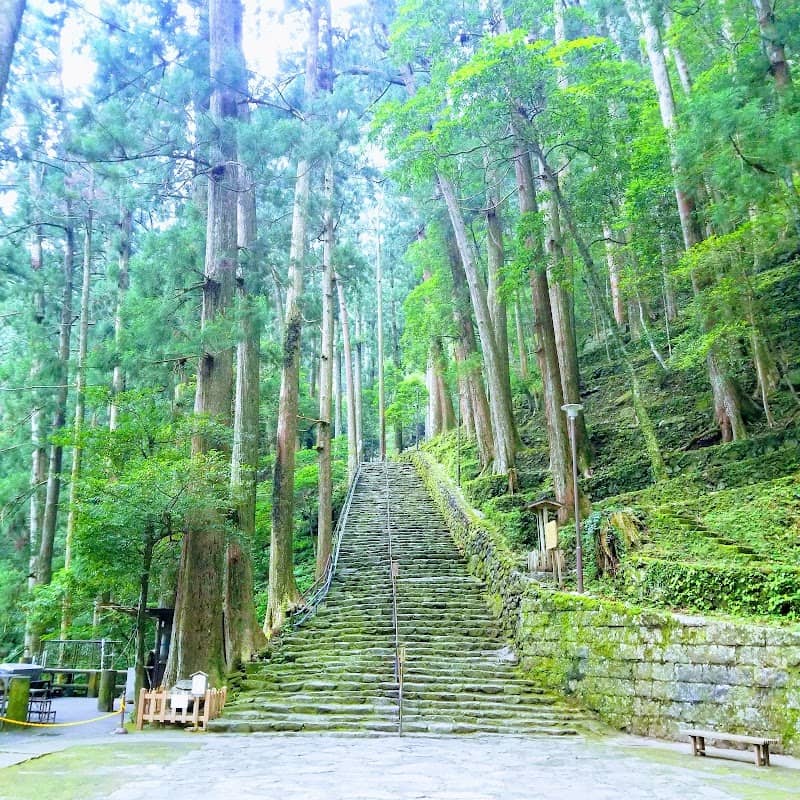 Nachi Waterfall - Image 3