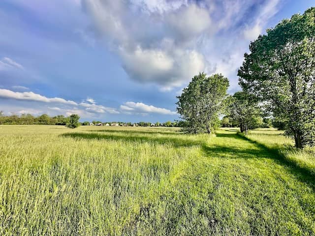 Wilhelmina Park - Image 1