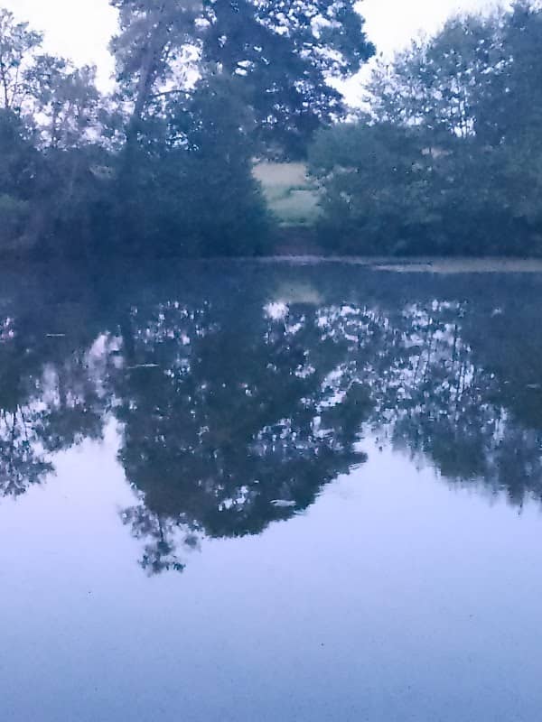 Belmont Walking Park - Image 2