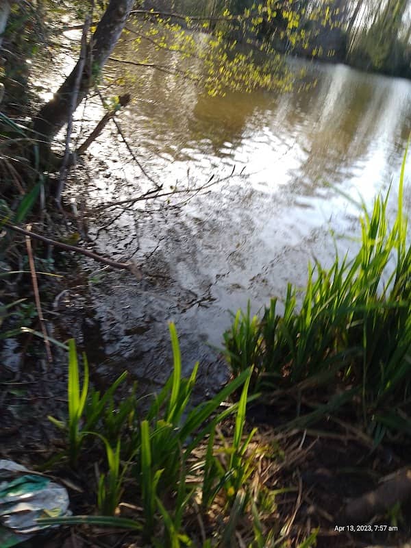 Belmont Walking Park - Image 1