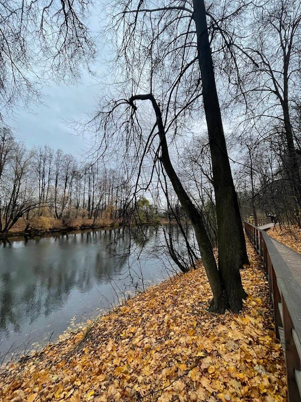 Andreyevsky Ponds - Image 3