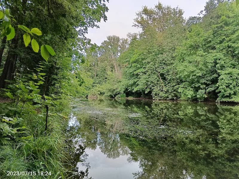 Andreyevsky Ponds - Image 1