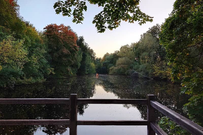 Andreyevsky Ponds - Image 2
