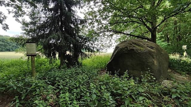 Findling Großer Stein - Image 1