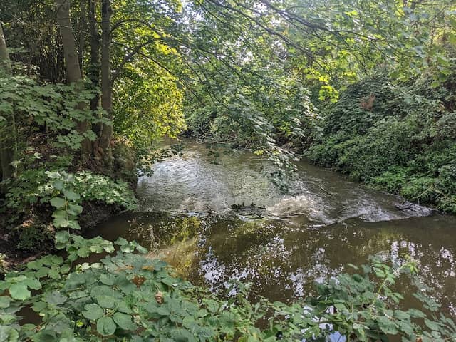 Mündung Bleiche - Nidder - Image 1