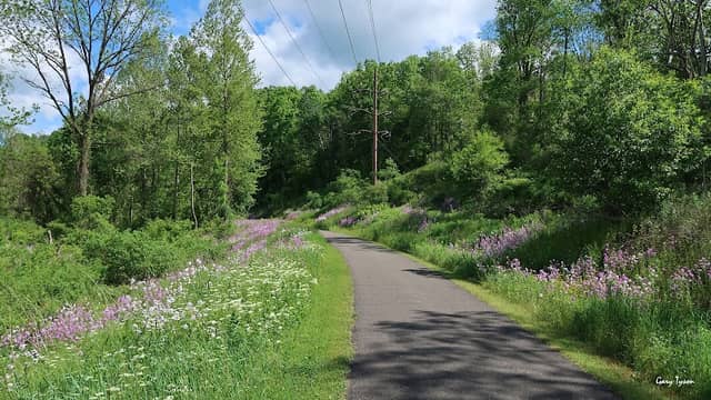Lamb's Creek Bike and Hike Trail (Mansfield Access) - Image 1