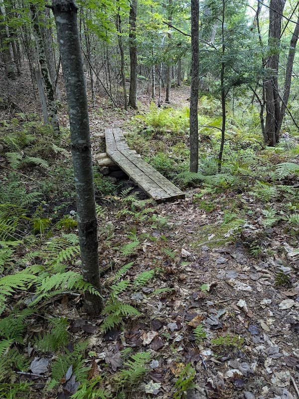 Tyler Conservation Area - Image 2