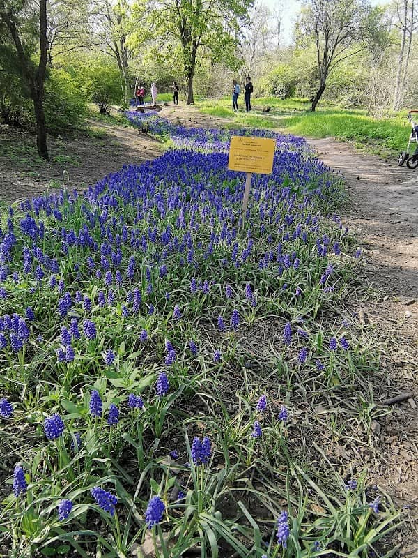 Botanical Garden of the SFU - Image 1