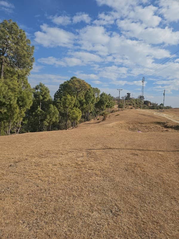 360 Degree View lovers point - Image 1
