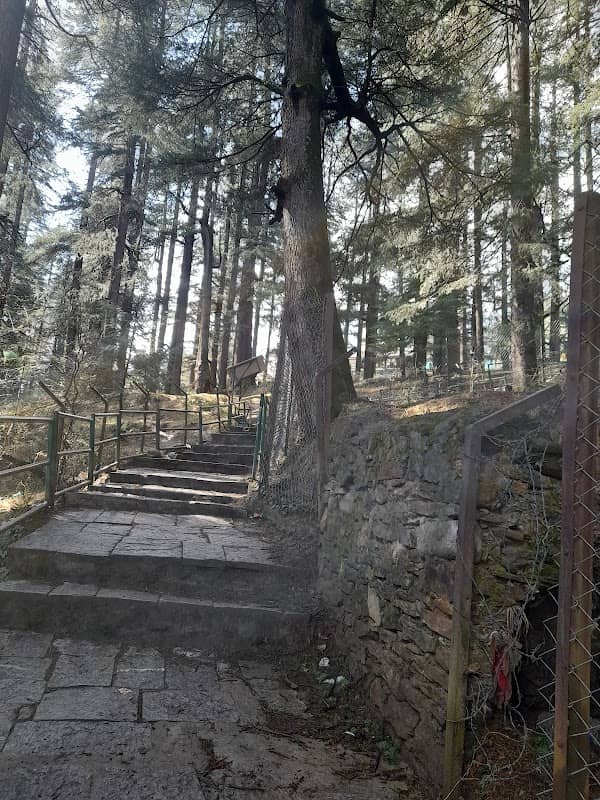 Stair to reach Hidimba Devi Temple - Image 1