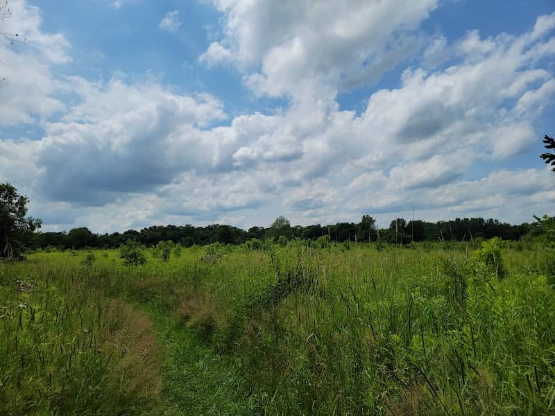 Shirley Heinze Land Trust - Image 2