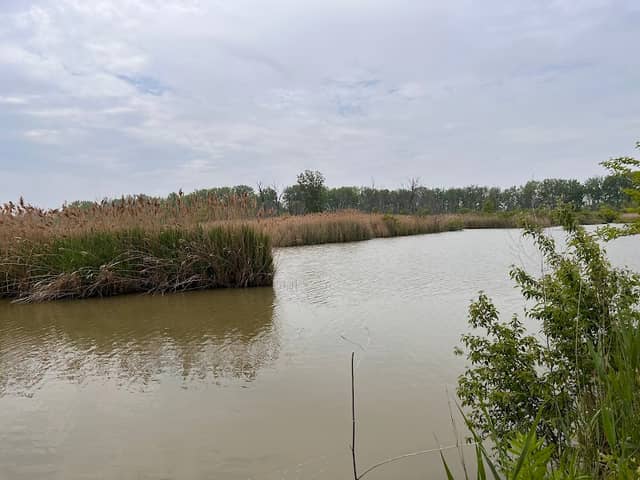 Decoy Marsh - Image 1