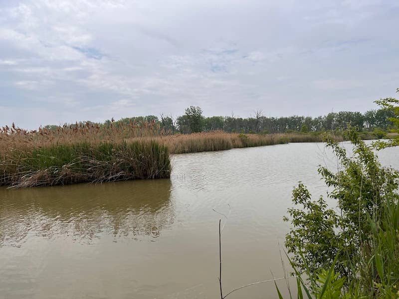 Decoy Marsh - Image 1