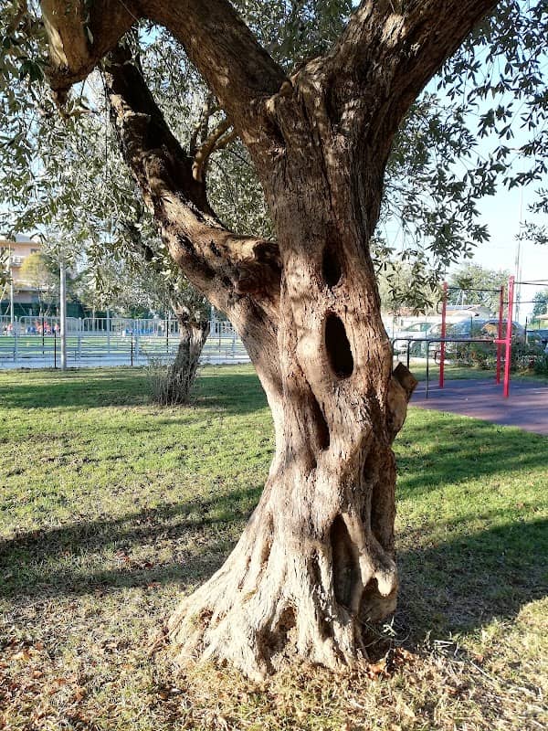 parco giochi - Image 1