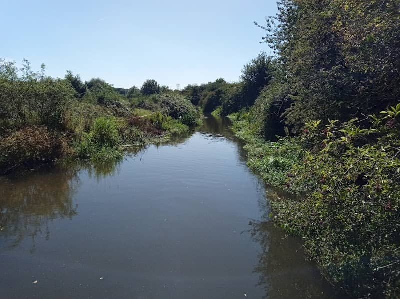 Hartsbourne Stream - Image 1