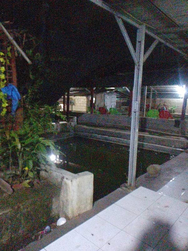 Pemancingan sumber jaya cilegon - Image 2