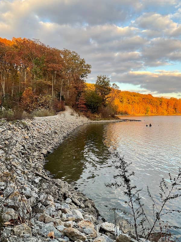 Lake Charleston Park - Image 1