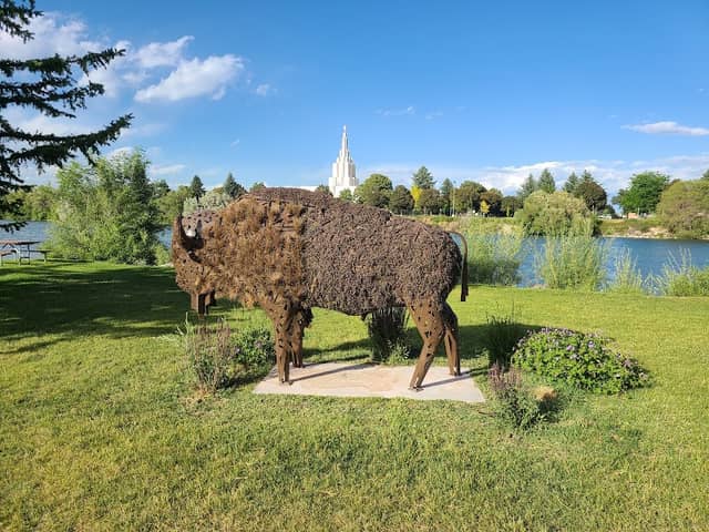 Bison Art in the park - Image 1