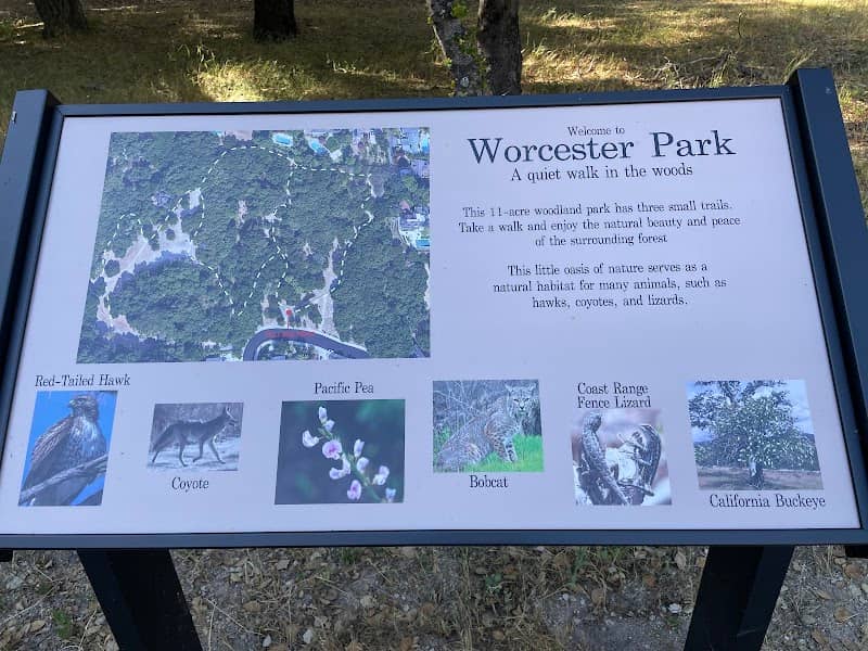 Worcester Park - Image 1
