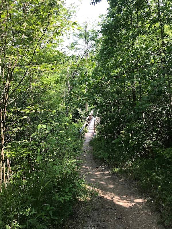 Day Light Falls - Image 1
