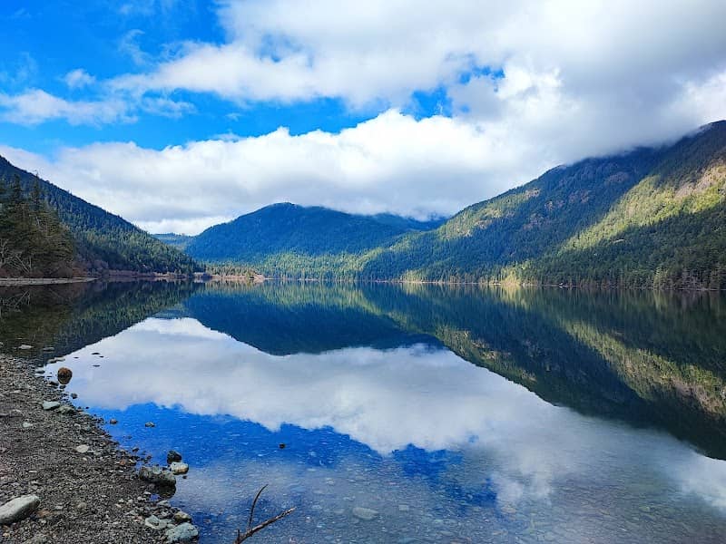 Cameron Lake Viewpoint - Image 1