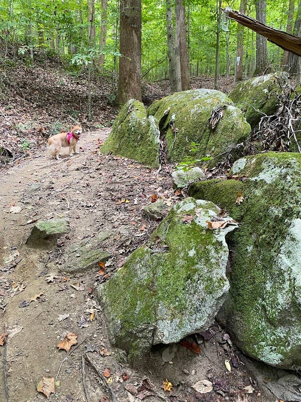 Rich Fork Preserve - Image 2