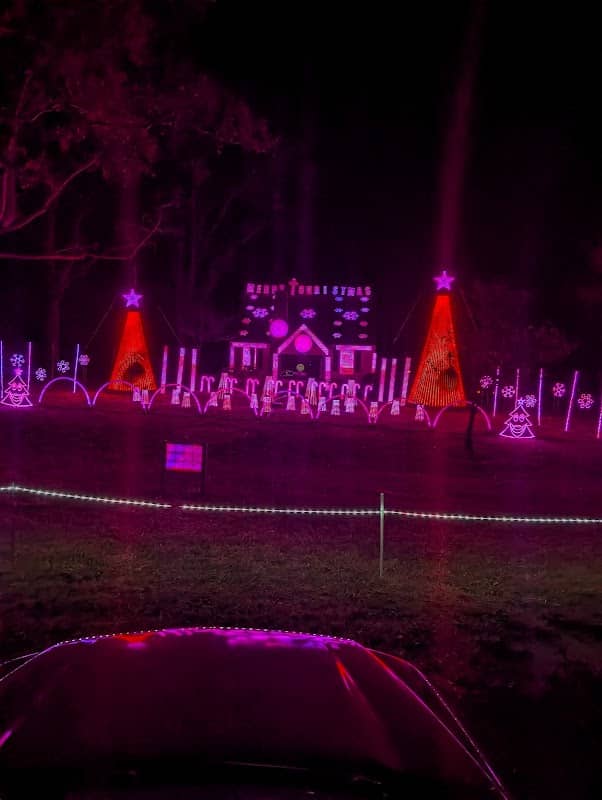 Chester Family Light Show - Image 2