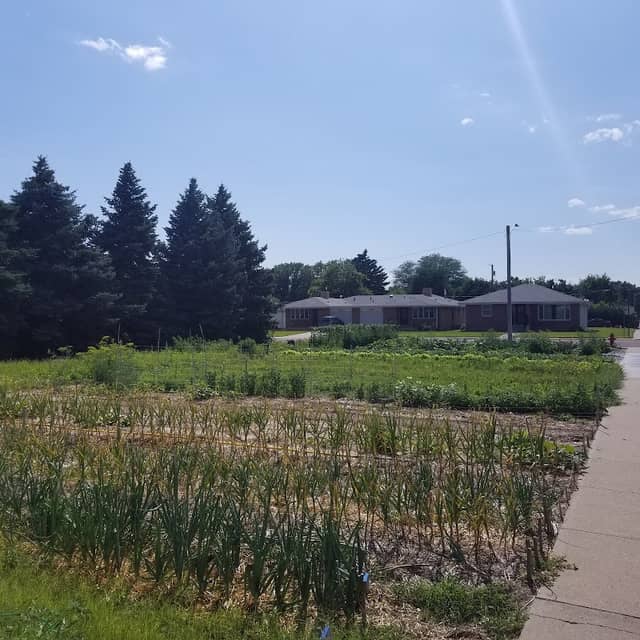 Torrington Community Garden - Image 2