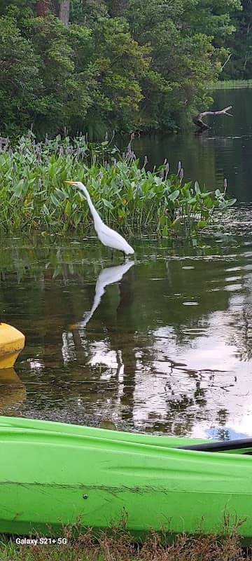 Forest Lake Wildlife Management Area - Image 2