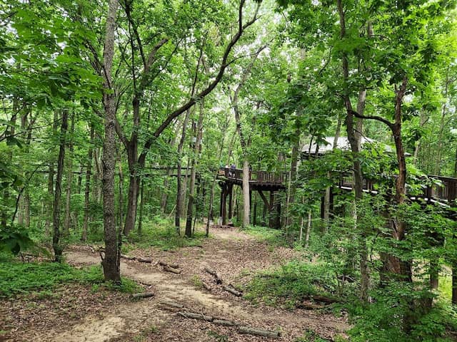 Sky Walk - Image 1