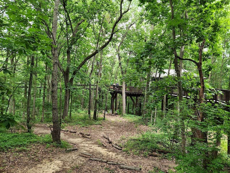 Sky Walk - Image 1