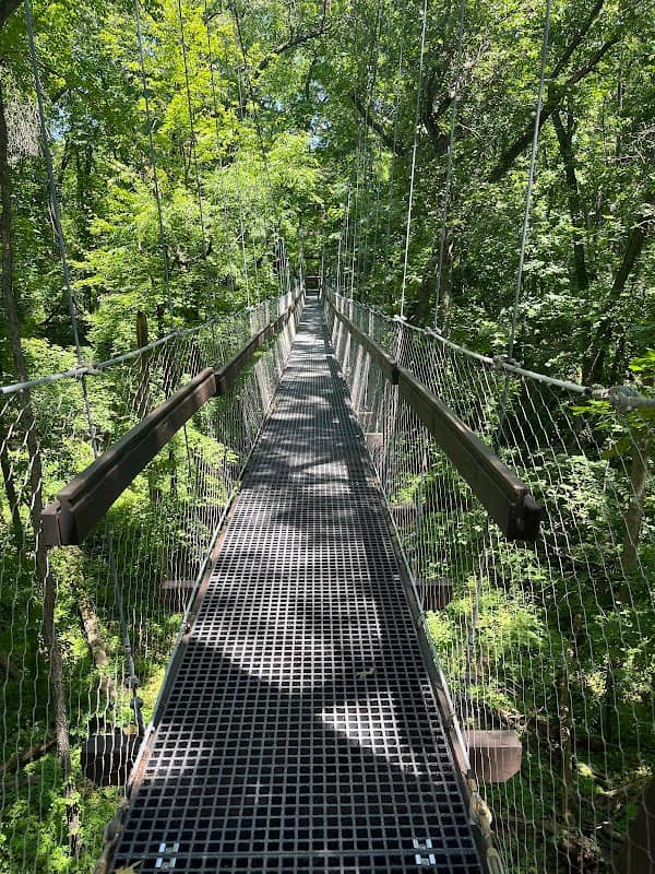 Sky Walk - Image 2