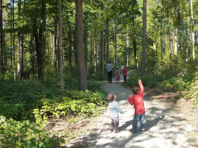 Waldpark Geretsried - Image 1