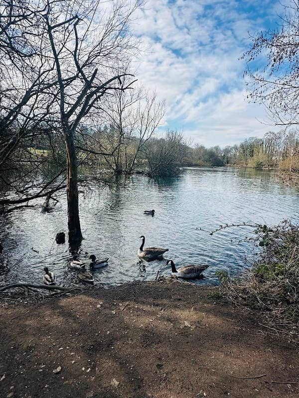 Kings Pond - Image 1