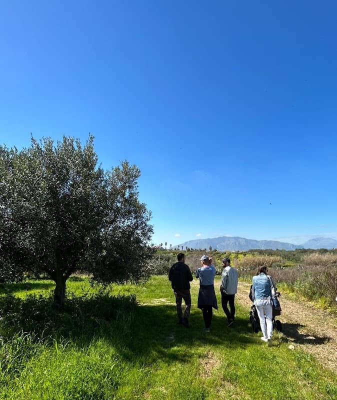 Essensily Sicilian Experiences - Image 1