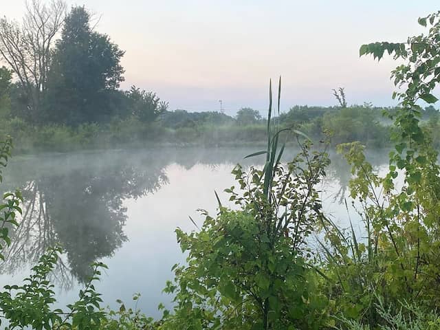 Longview Park - Image 1