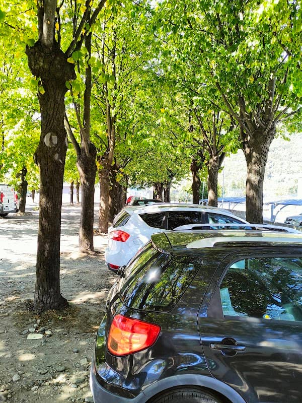 Parchetto alberato - Image 1