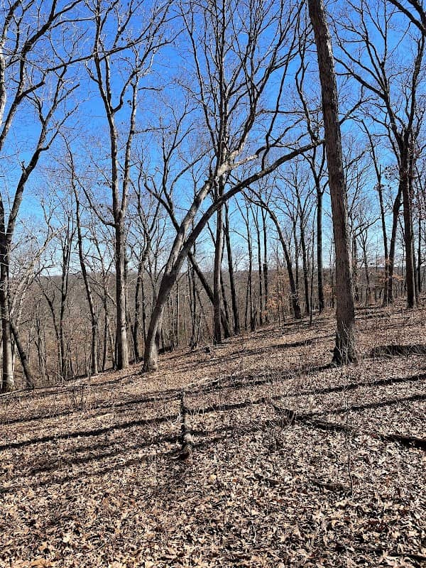 Earthquake Hollow Conservation Area - Image 1