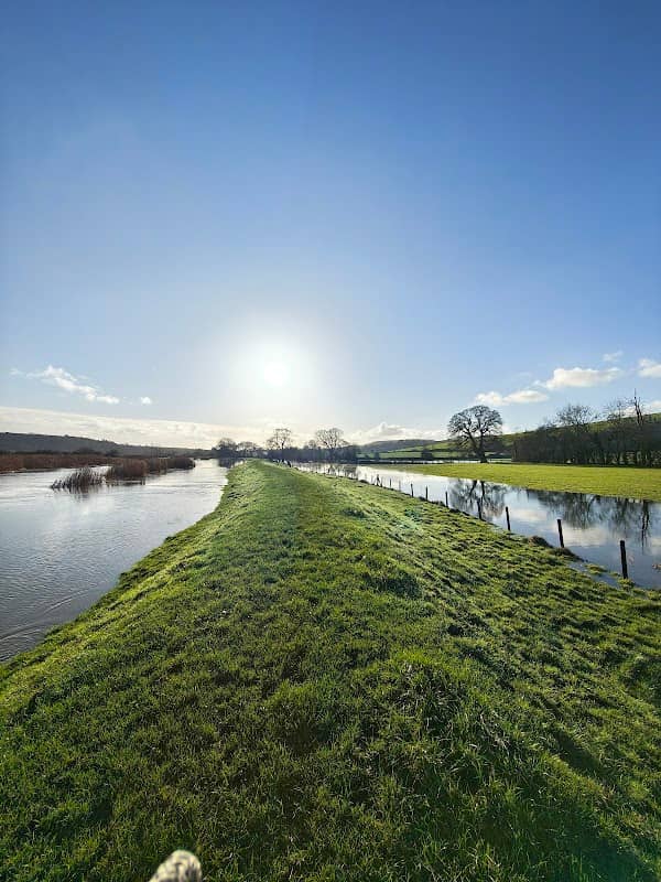 Bury Hill - Image 2