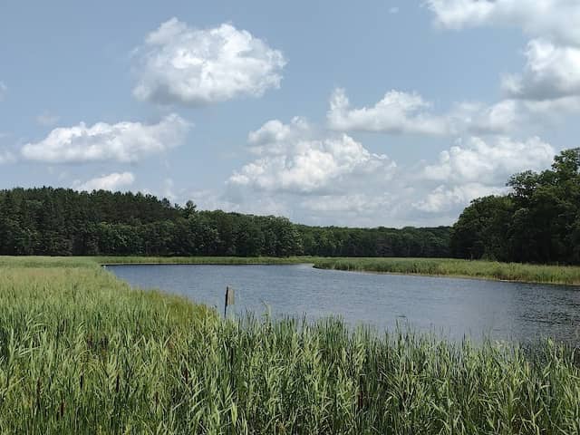 Kathio State Park - Image 1