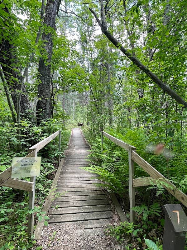 Kathio State Park - Image 3