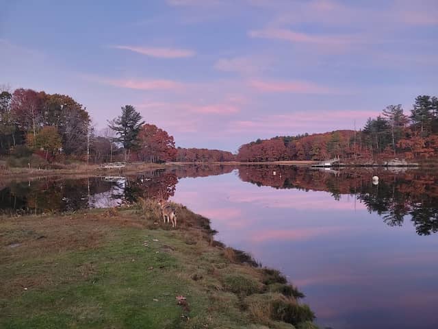 Durham Landing - Image 2