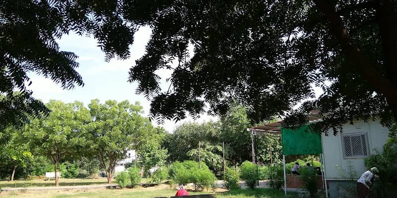 Jain Temple Mahal Yojana Park - Image 1