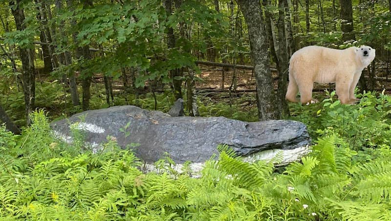 Orca Rock - Image 2