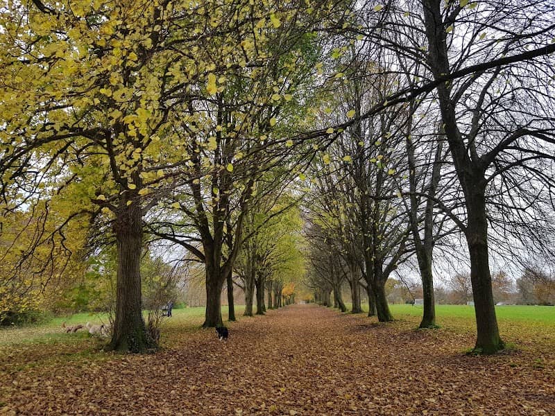 Farnham Park - Image 2