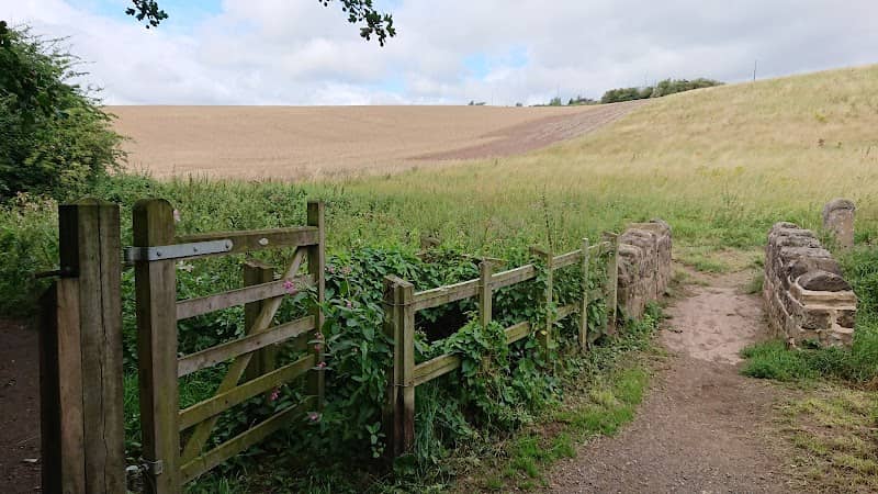 Whiston Meadows - Image 2